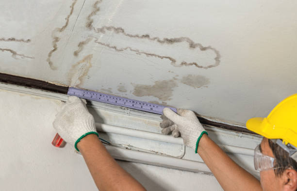 Reliable Basement Water Removal contractor in Ypsilanti, ND by Water Damage Irwin